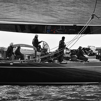 Buy canvas prints of J Class Yacht racing in Falmouth, 2012 by Ian Cocklin