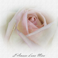 Buy canvas prints of French Rose by michelle whitebrook