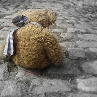 Buy canvas prints of Lost Teddy by michelle whitebrook