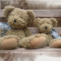 Buy canvas prints of Teddy bear Love by michelle whitebrook