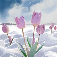 Buy canvas prints of Tulips in the Snow  by Jacqui Farrell