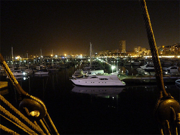 Alicante Marina at Night Picture Board by Jacqui Farrell