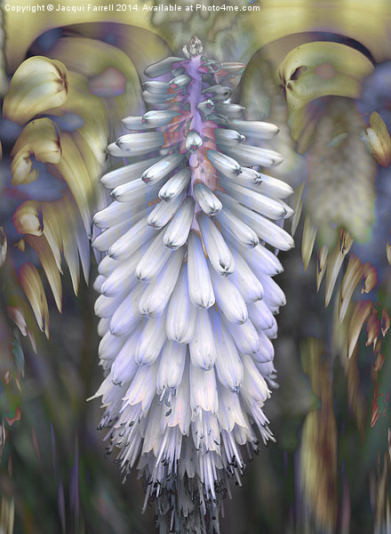 Abstract Lupin in Pastel Picture Board by Jacqui Farrell