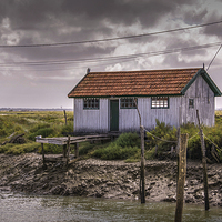 Buy canvas prints of  Oyster Shack Ile de Re by Jacqui Farrell