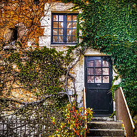 Buy canvas prints of Ivy Covered House  by Jacqui Farrell