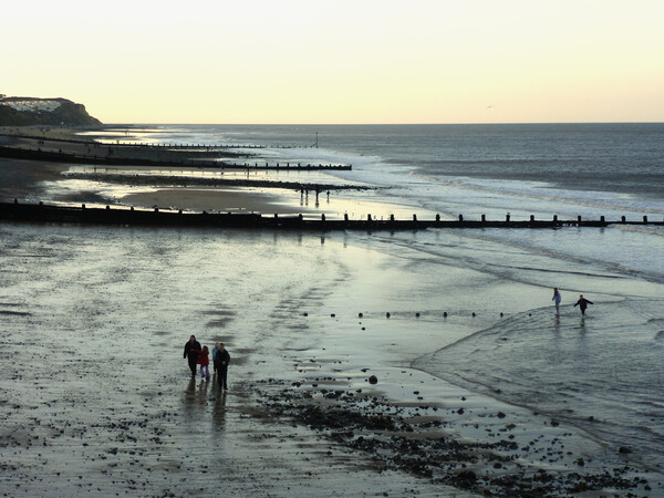 Cromer Sunset  Picture Board by Jacqui Farrell