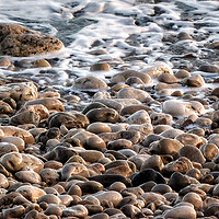 Buy canvas prints of Pebbles on the Beach by Jacqui Farrell