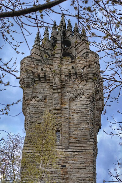 The Wallace Monument Stirling Scotland  Picture Board by Jacqui Farrell