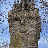Buy canvas prints of The Wallace Monument Stirling Scotland  by Jacqui Farrell