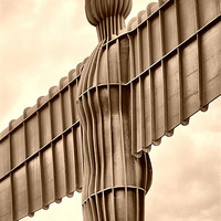 Buy canvas prints of Angel of the North by Jacqui Farrell