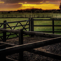 Buy canvas prints of Serene Sunset Over Coveney Farm by Jacqui Farrell