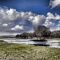 Buy canvas prints of West Australia Bush Scene by Andy Anderson