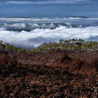 Buy canvas prints of Tenerife Landscape by Andy Anderson