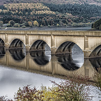 Buy canvas prints of Autumn at Lady Bower by nye whittaker