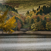 Buy canvas prints of Autumn at Derwent by nye whittaker