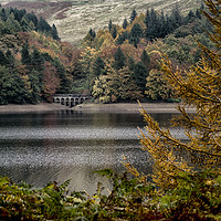 Buy canvas prints of Autumn at Derwent by nye whittaker