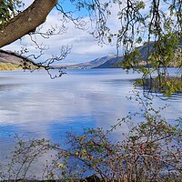 Buy canvas prints of Ullswater Lake by Jennie Franklin