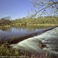 Buy canvas prints of River at Pamphill, Wimborne by Jennie Franklin