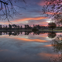 Buy canvas prints of  Janesmoor Pond New Forset National Park by Jennie Franklin