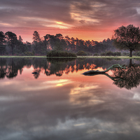Buy canvas prints of  Misty Morning Sunrise at the Pond by Jennie Franklin