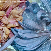 Buy canvas prints of Blue Swirl by Kristina Kitchingman