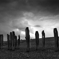 Buy canvas prints of Sea Defences at Pett Levels by Brian Sharland