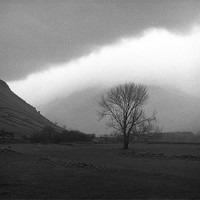 Buy canvas prints of Bare Tree at Wastwater Head by Brian Sharland