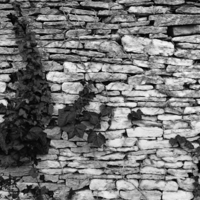 Buy canvas prints of Gloucestershire Drystone Wall by Brian Sharland