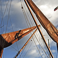 Buy canvas prints of Thames Barge Sails. by Brian Sharland