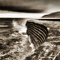 Buy canvas prints of The Cobb. by Brian Sharland