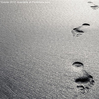 Buy canvas prints of Platinum Footprints in Sand by Canvas Landscape Peter O'Connor