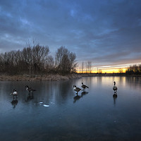 Buy canvas prints of Willington Lake 2.0 by Yhun Suarez