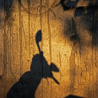Buy canvas prints of Shadow theatre by Alfani Photography