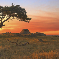 Buy canvas prints of Sunset At Dog Rocks by Matthew Burniston