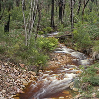 Buy canvas prints of  Peacefull stream flows through the aussie bush by Matthew Burniston