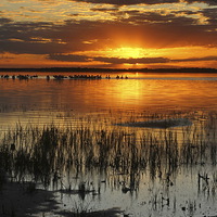 Buy canvas prints of  Sunset at Lake Burrumbeet by Matthew Burniston