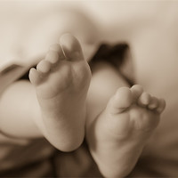 Buy canvas prints of baby feet by daniel sprackman