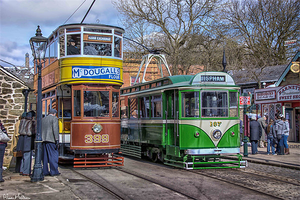 Trams at Crich Picture Board by Alan Matkin