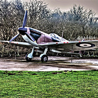 Buy canvas prints of Spitfire by David Shackle