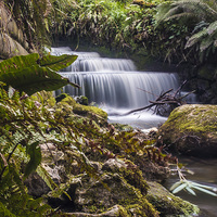 Buy canvas prints of Brockhill School Park Waterfall by David Shackle