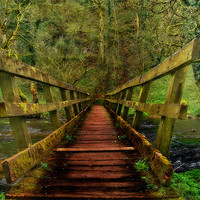 Buy canvas prints of Bridge over River Wye by Steven Blood