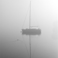 Buy canvas prints of Duck below the mist by Gary Finnigan