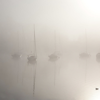 Buy canvas prints of From out of the fog... by Gary Finnigan