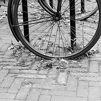Buy canvas prints of Abandoned bicycle by Gary Finnigan