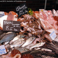 Buy canvas prints of French fish counter by Paul Amos