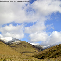 Buy canvas prints of Snow in them hills by Anthony Hedger