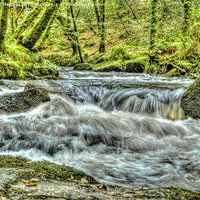 Buy canvas prints of Golitha Falls HDR by Anthony Hedger