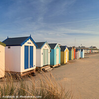 Buy canvas prints of Southwold Beach Huts at Dawn by steve docwra