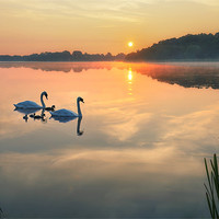 Buy canvas prints of Dawn tranquility on the Norfolk Broads by steve docwra