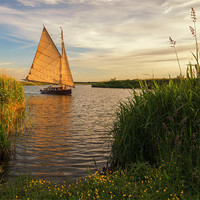 Buy canvas prints of Sailing into the sun by steve docwra